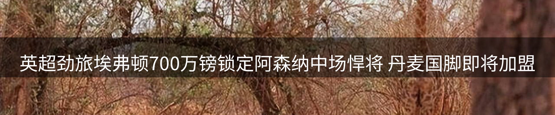 今日资讯
